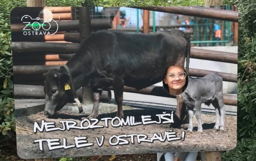 Třída 9.A v zoo v Ostravě f03