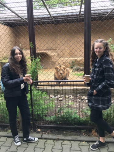 Třída 9.A v zoo v Ostravě f04