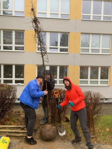 Sázení stromků v areálu školy f02
