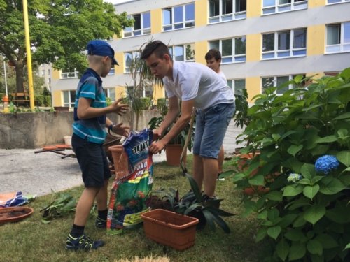 Žáci přesazovali pokojové rostliny f01