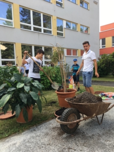 Žáci přesazovali pokojové rostliny f03