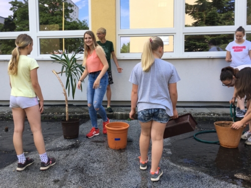 Žáci přesazovali pokojové rostliny f04