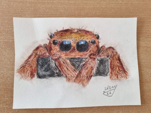 Biologicko-výtvarná soutěž Pod lupou f13