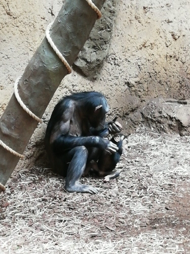 Návštěva ZOO f03