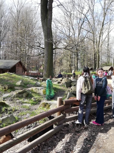 Návštěva ZOO f04